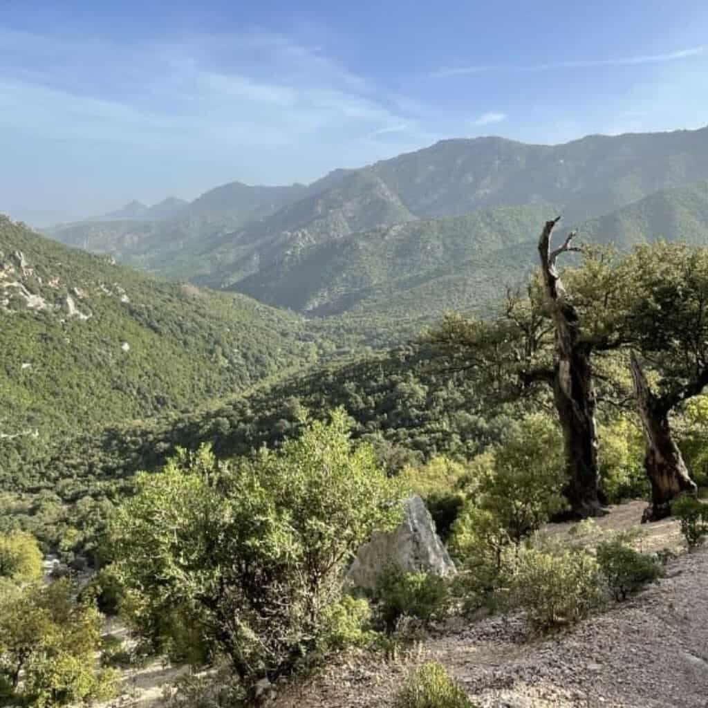 Sardegna Selvaggio a colpi di trekking tra mare e montagna
