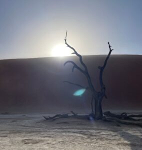 viaggio in namibia travel jam