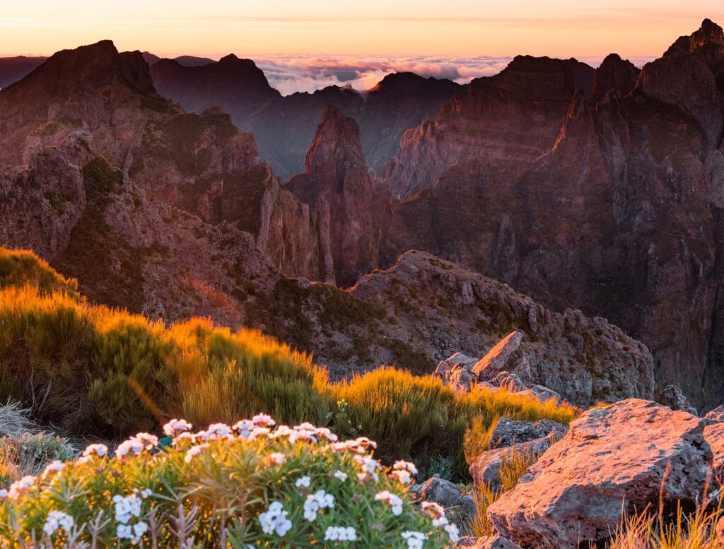 madeira pico ruivo