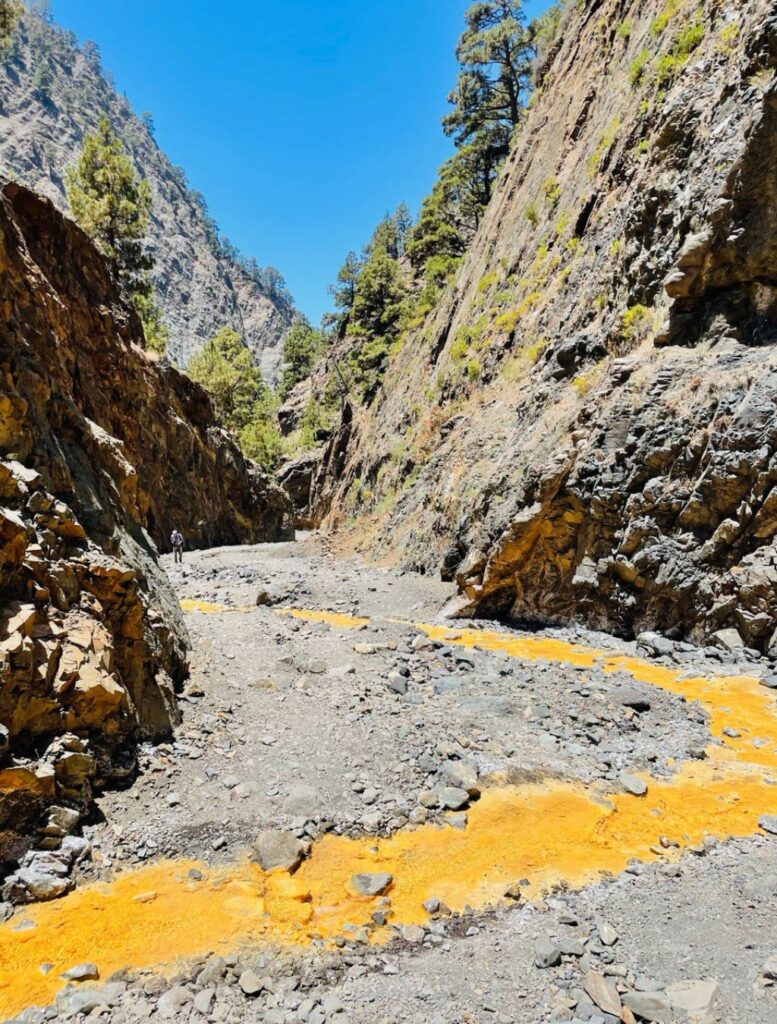 LA PALMA ISOLE CANARIE