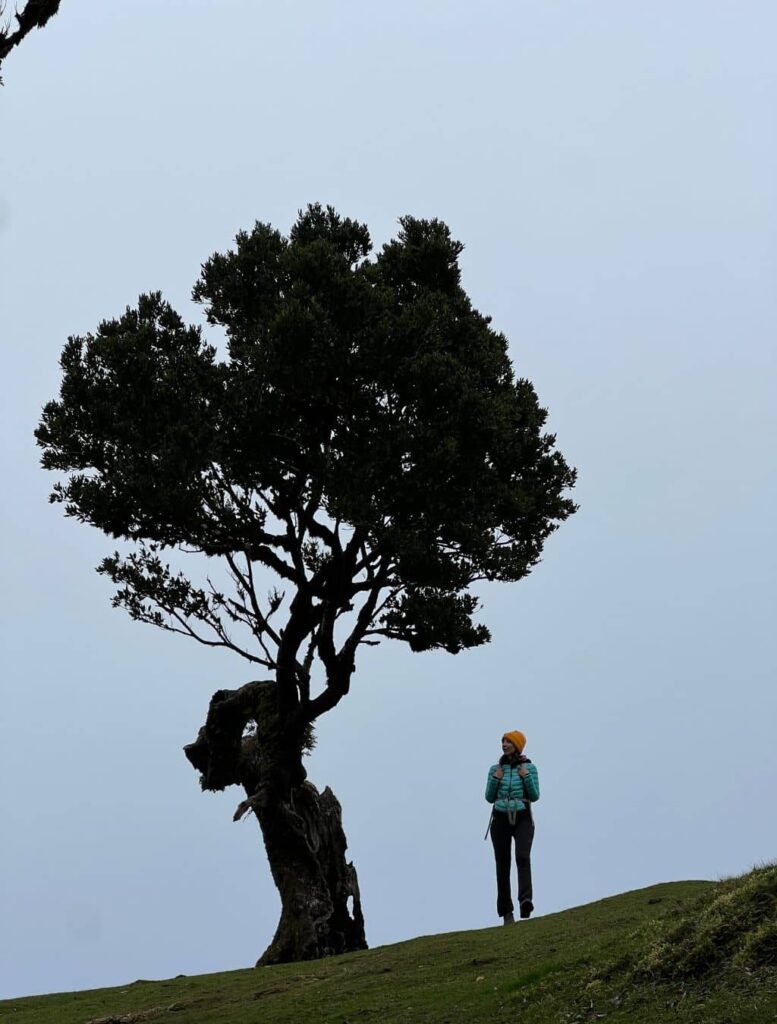 viaggio a Madeira fai da te