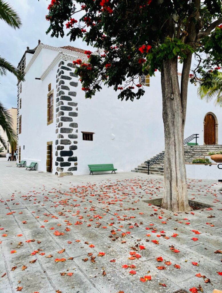 LA PALMA ISOLE CANARIE