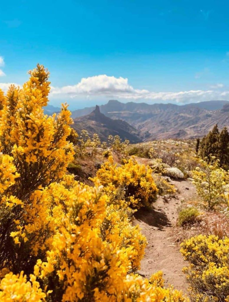 Cammino di Gran Canaria