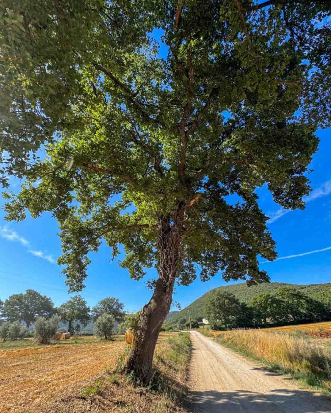 Cammino dei Borghi in Umbria