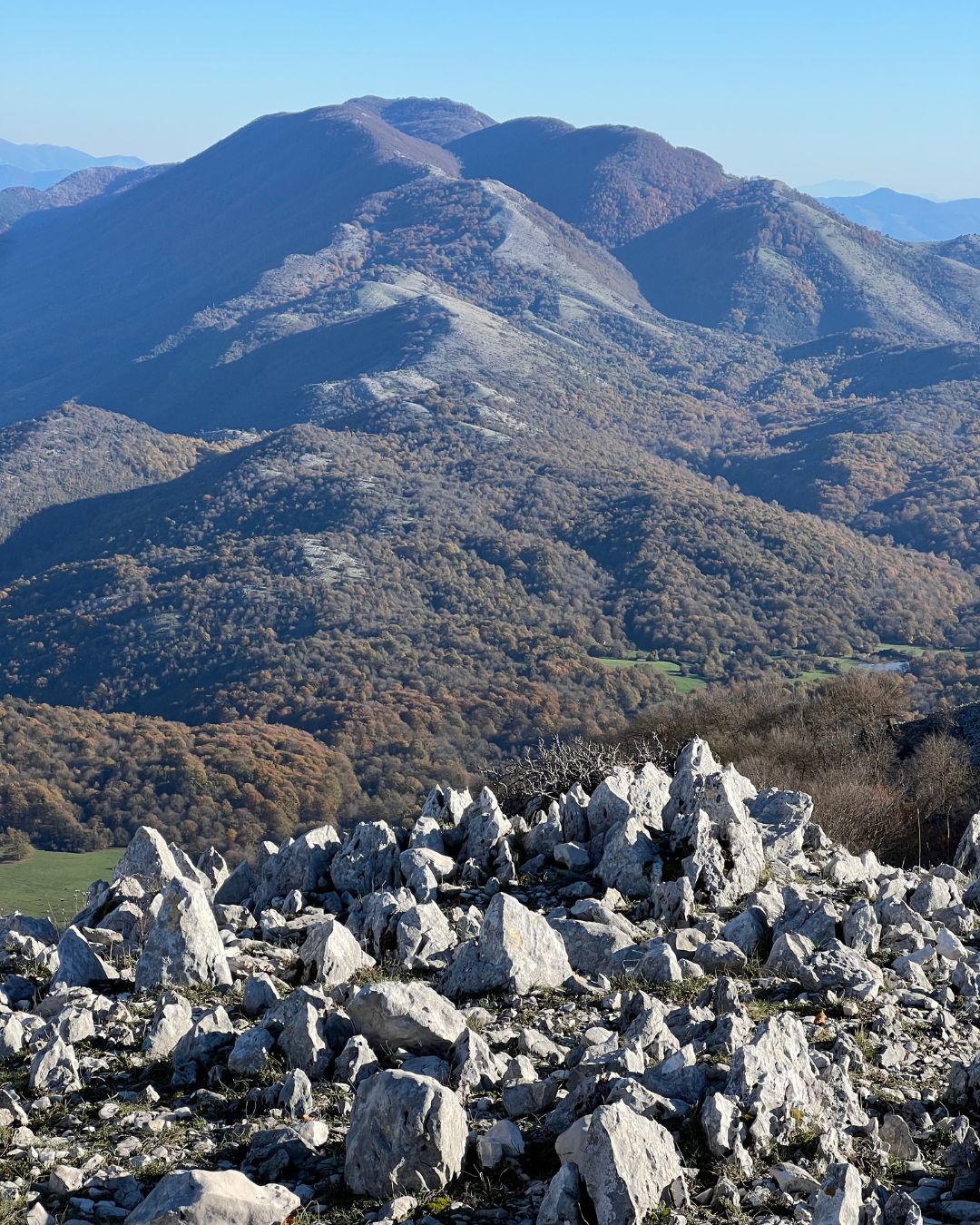 MONTE LUPONE