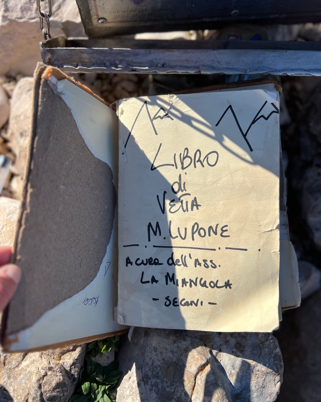 MONTE LUPONE