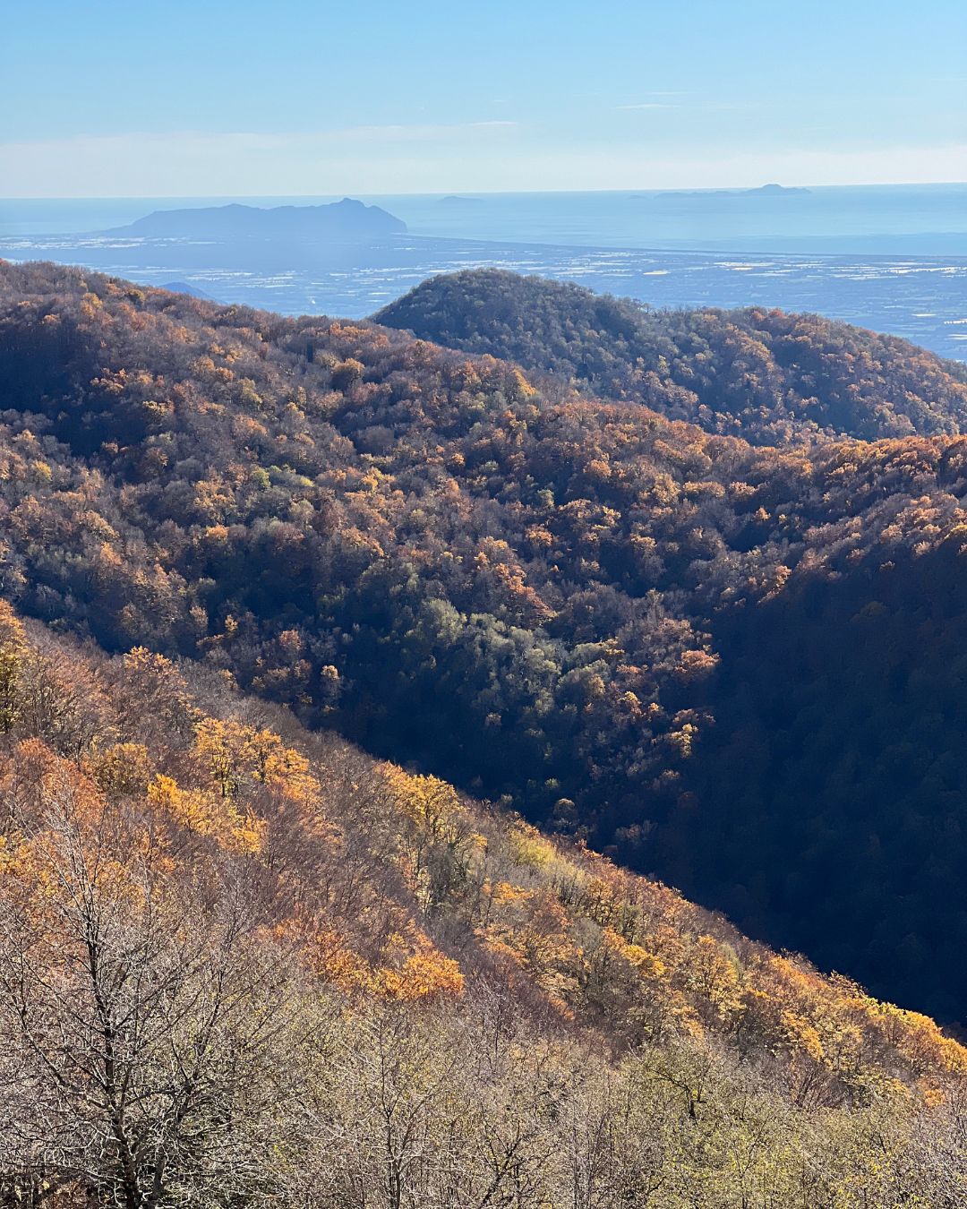 MONTE LUPONE