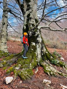 MONTE MALAINA E FAGGIO SECOLARE