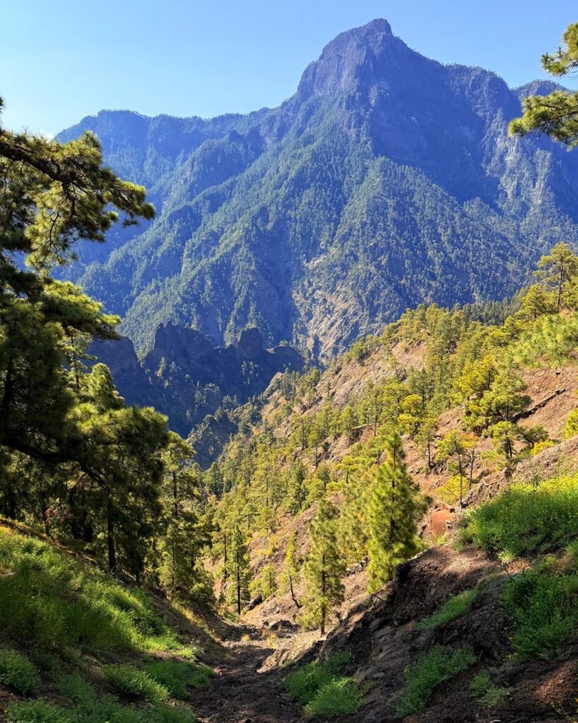 LA PALMA TABURIENTE