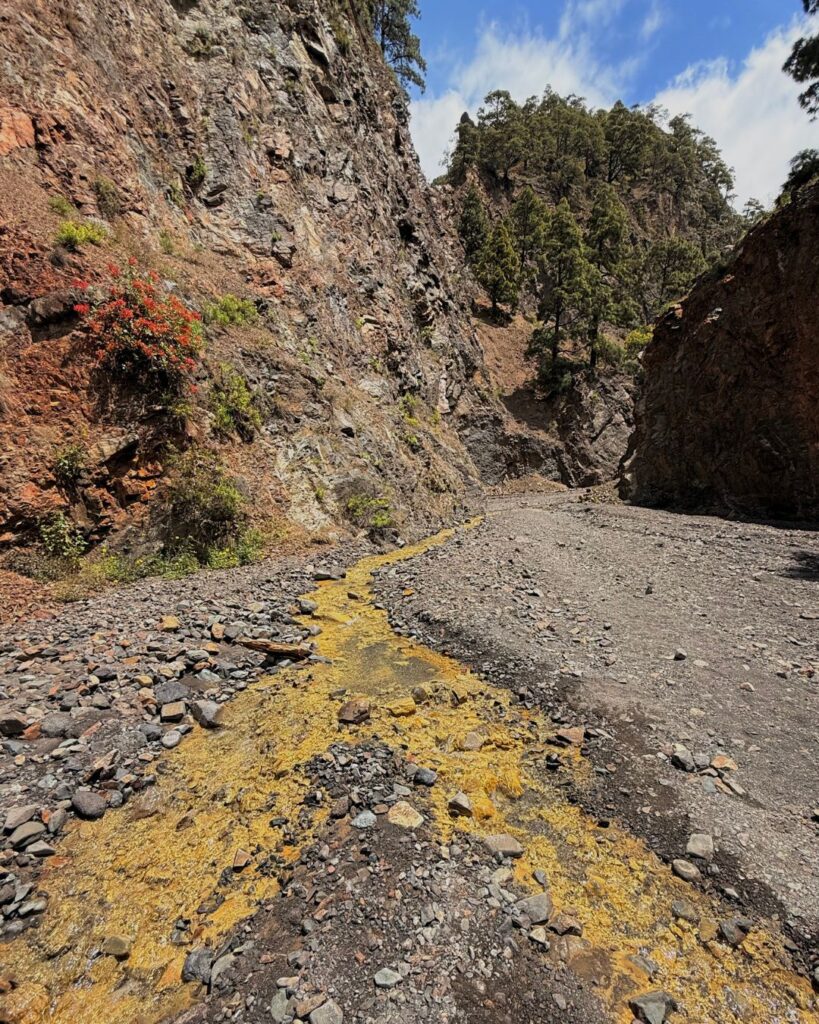 LA PALMA barranco las angustias